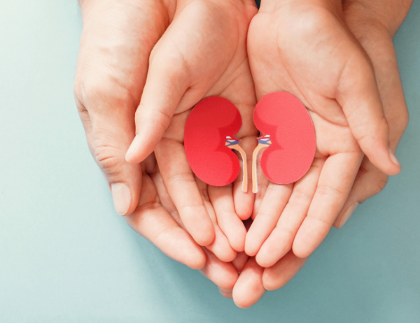 Kidney Screening Package