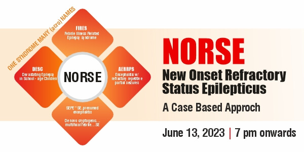 NORSE - New Onset Refractory Status Epilepticus - A Case Based Approch