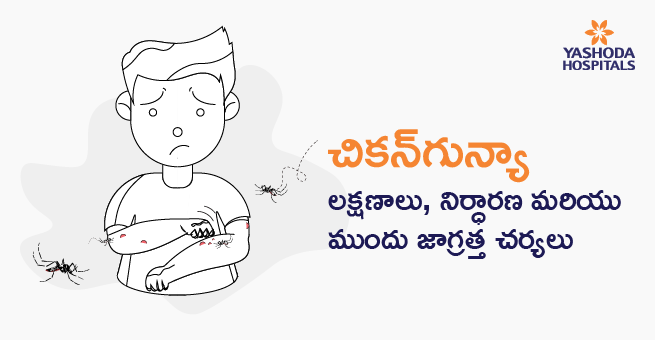 Chicken Gunya blog -telugu banner