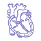 Cardiac Ablation