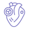 Mitral Valve Replacement(MVR)
