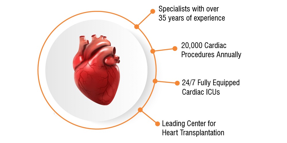 cardiology