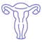Cervical Cerclage Procedure