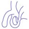 Frenuloplasty