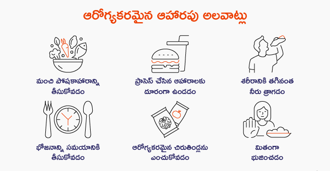 Nutrition diet