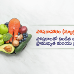 Nutrition diet Main Banner
