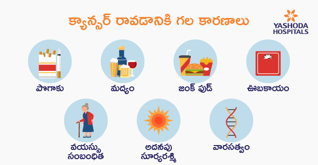 Types of Cancer-telugu1